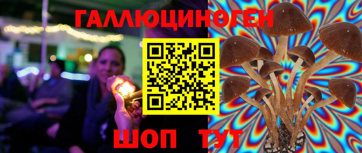 Псилоцибиновые грибы мицелий  Вход с VPN  Уфа 