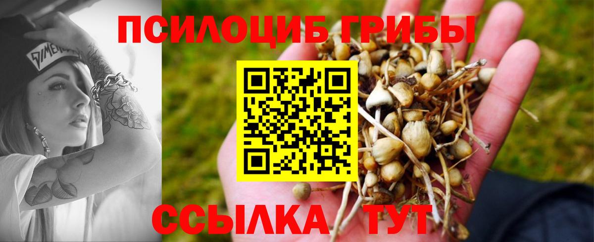 Псилоцибиновые грибы Magic Shrooms  Псилоцибиновые грибы MAGIC MUSHROOMS  Уфа 
